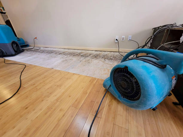 Professional Burst Pipe Water Damage technician working in Cheltenham, MD